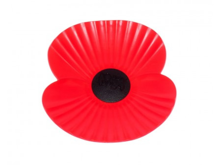 Surrey Prepares for Poppy Appeal