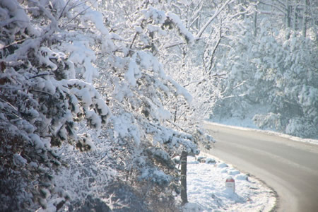 surrey-prepares-roads-for-winter-2m0