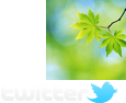 Follow Surrey-Online on Twitter